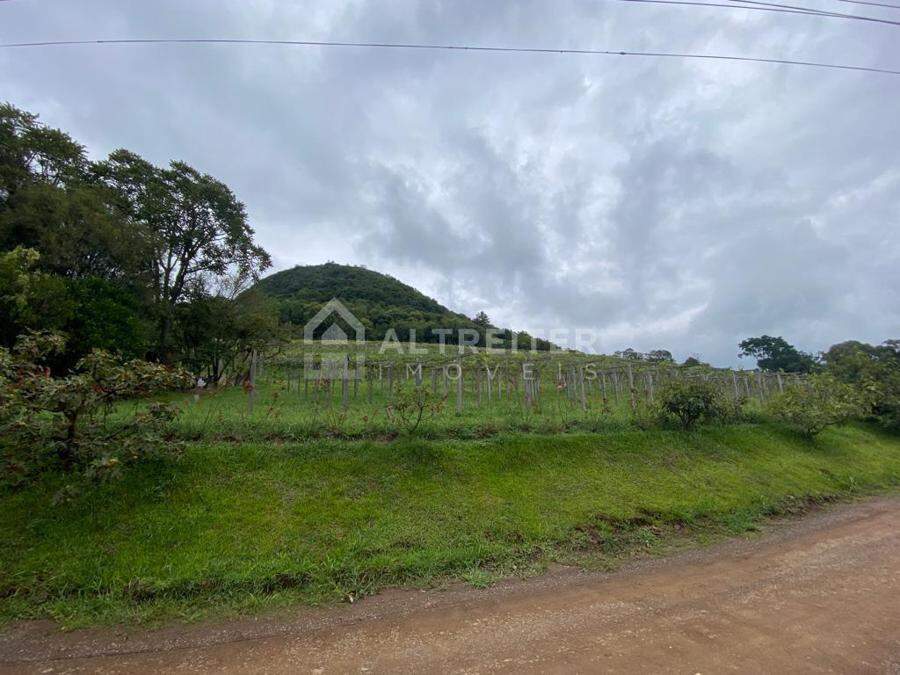 FRENTE PARA A ESTRADA