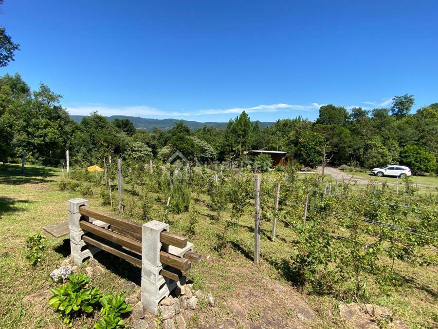 VINHEDOS