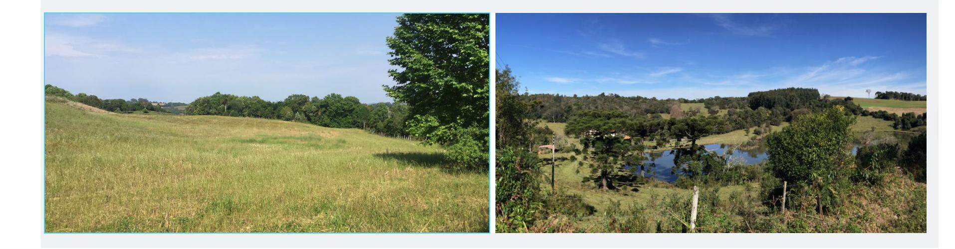 Nova Bassano Área rural com 32 Ha