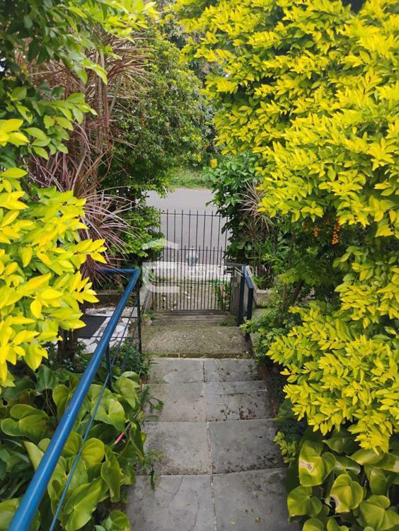 CAMINHO VERDE ENTRE A CASA E O CHALé