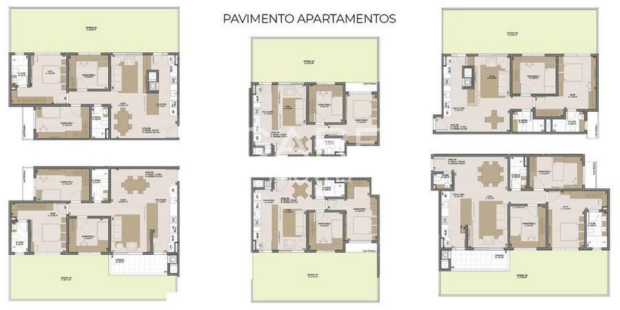 PLANTA