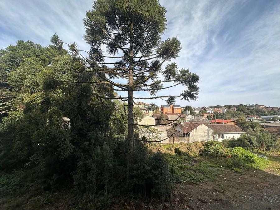 VISTA
