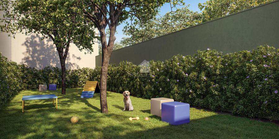 PERSPECTIVA ILUSTRADA - PET PLACE