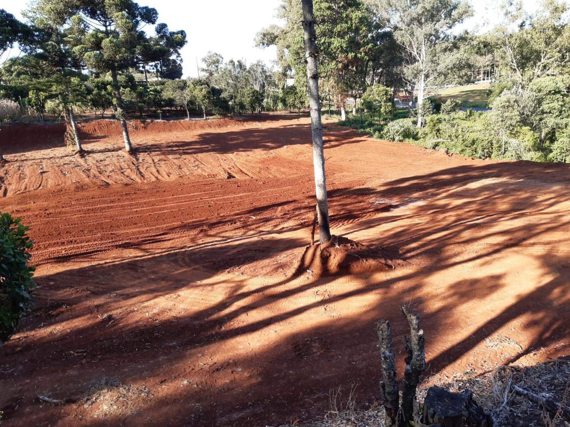 Erechim Chácara com 10.000 m² frente pra RS 135 