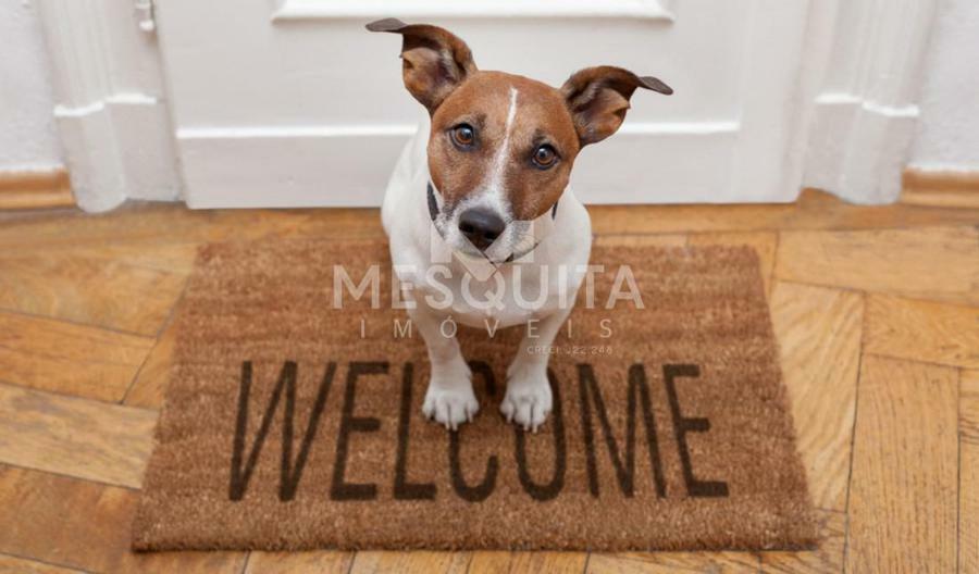 Saiba alguns cuidados para manter seu pet em um apartamento
