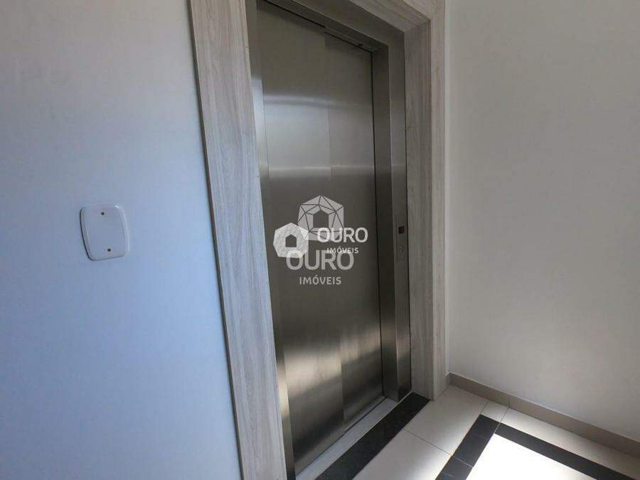 IMG1