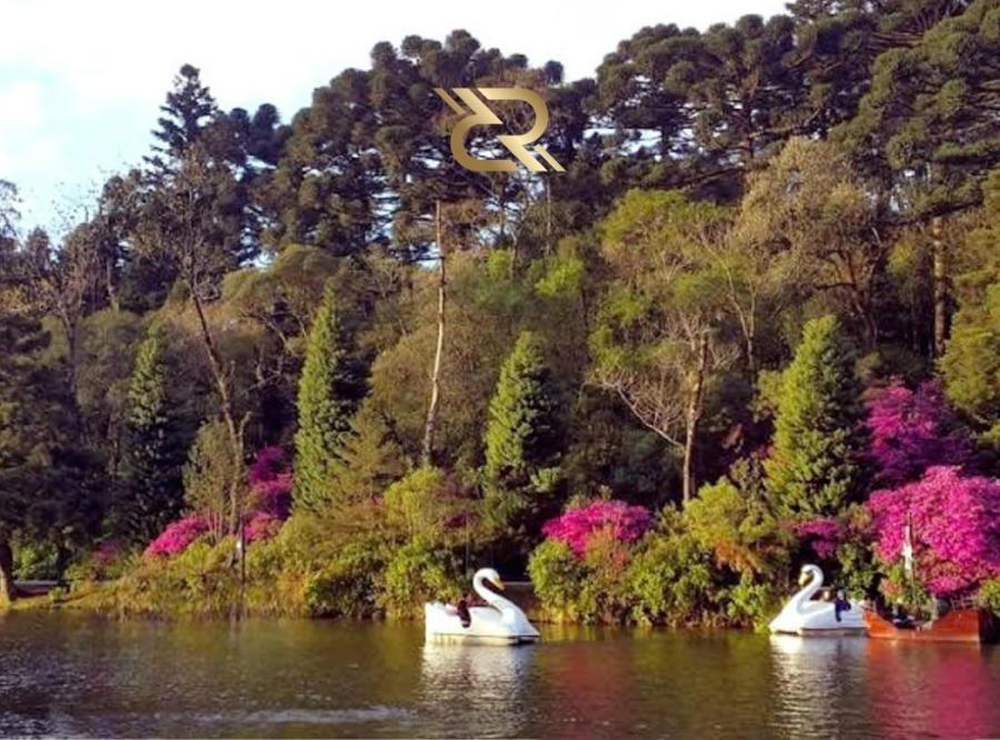 Os 4 melhores bairros para comprar  imveis em Gramado.