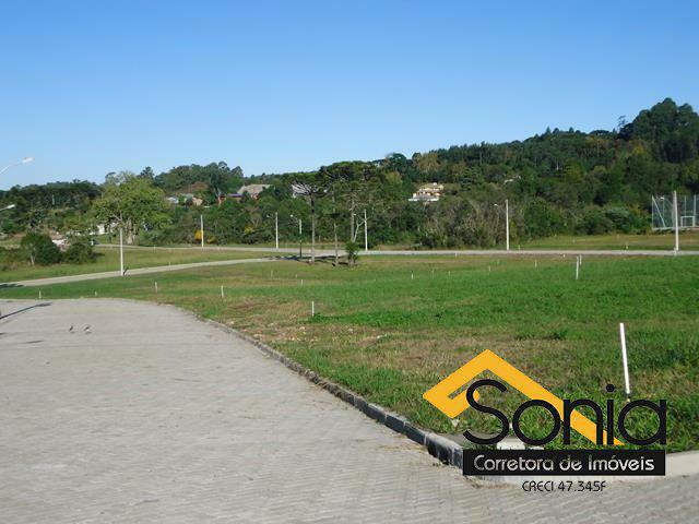 DSC04758