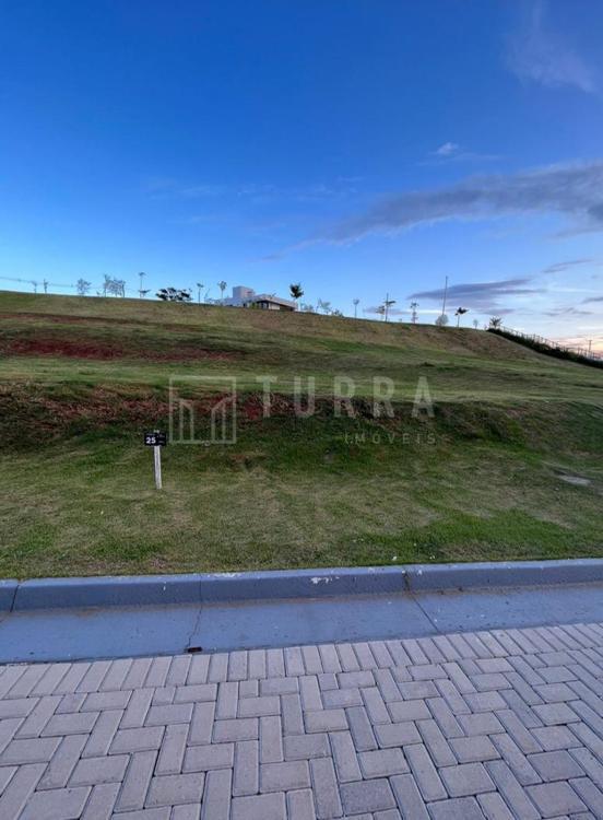 LOTE 25
