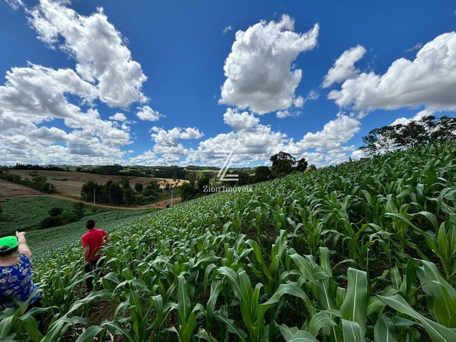 ÁREA DE PLANTIO