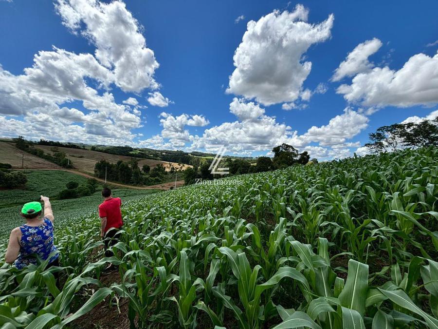ÁREA DE PLANTIO