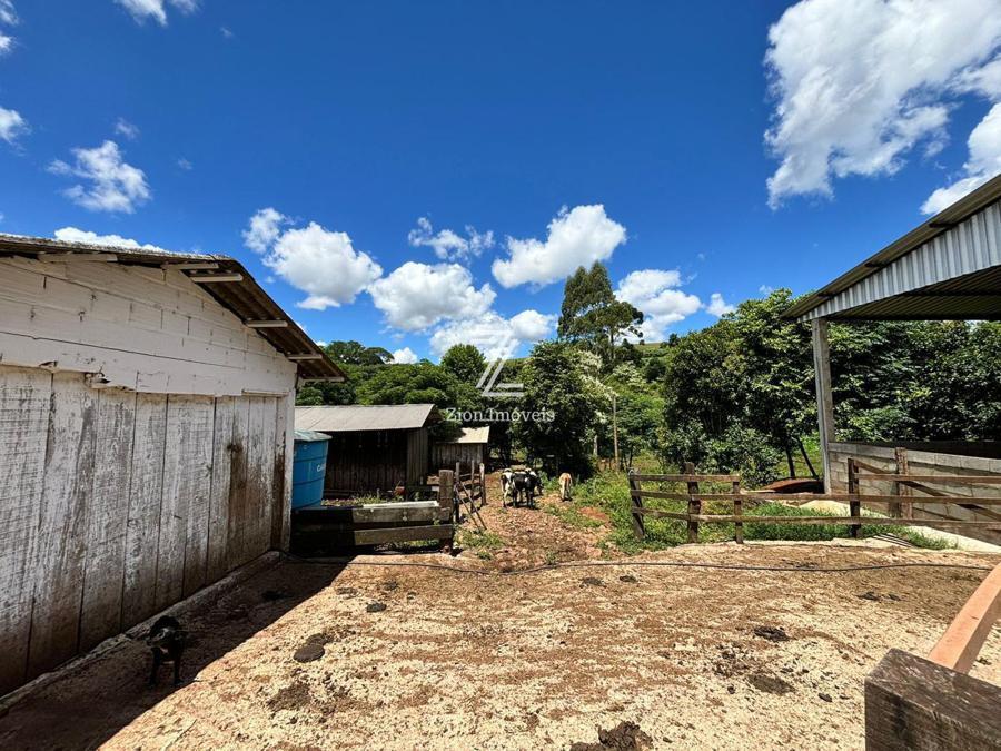 ÁREA DE CIRCULAÇÃO DOS ANIMAIS